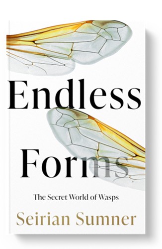 Endless Forms: The Secret World of Wasps, book cover