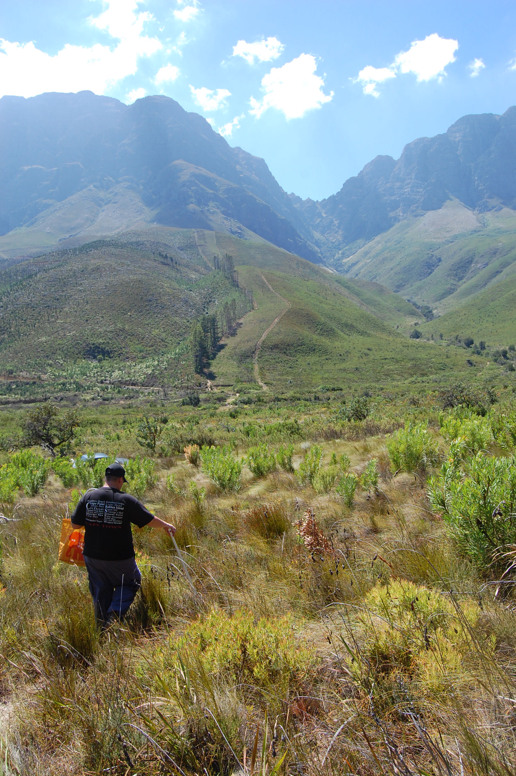 Fieldwork in Jonkershoek Nature Reserve, South Africa