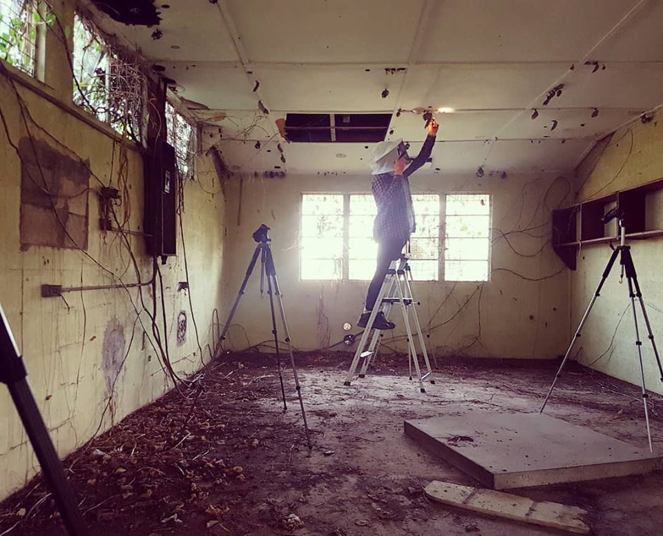 Marking wasps in a derelict potting shed at the UWI Field Station, University of the West Indies, Trinidad