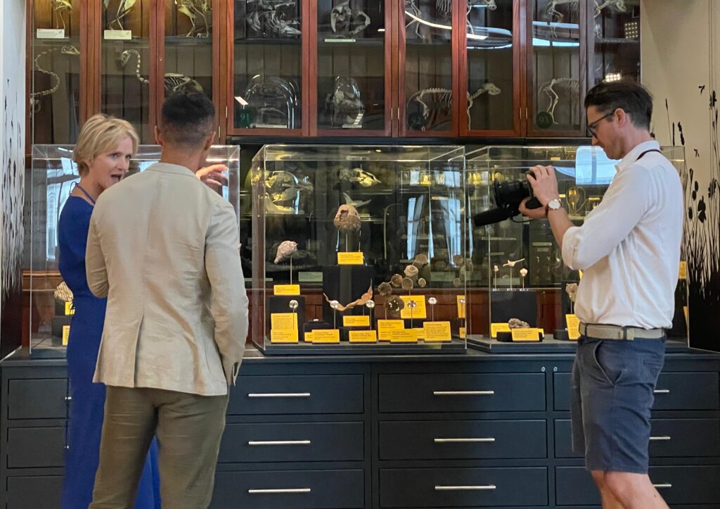 CNN filming Seirian about the World of Wasps exhibition.